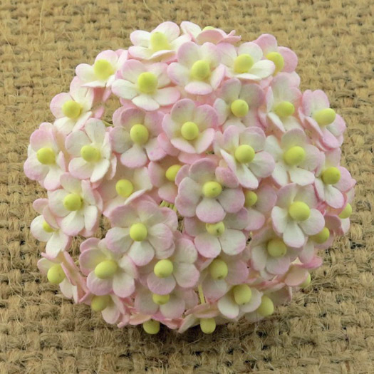 100 MINIATURE 2-TONE BABY PINK/IVORY SWEETHEART BLOSSOM FLOWERS