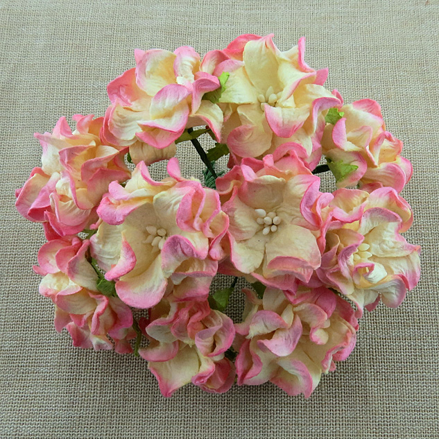 50 2-TONE CHAMPAGNE PINK GARDENIA FLOWERS - Click Image to Close