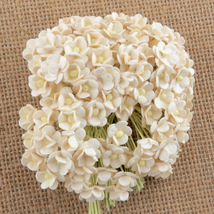 100 MINIATURE IVORY SWEETHEART BLOSSOM FLOWERS - Click Image to Close