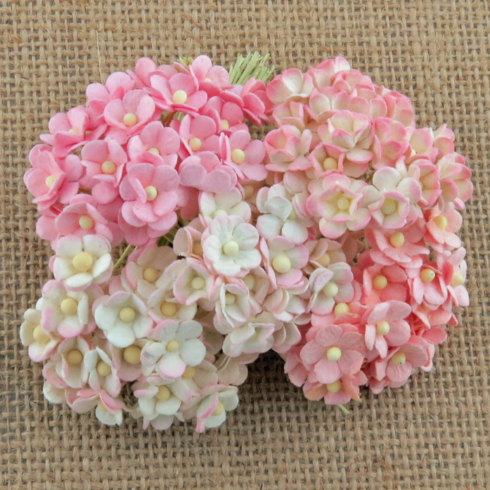 100 MINIATURE MIXED PINK SWEETHEART BLOSSOM FLOWERS - Click Image to Close