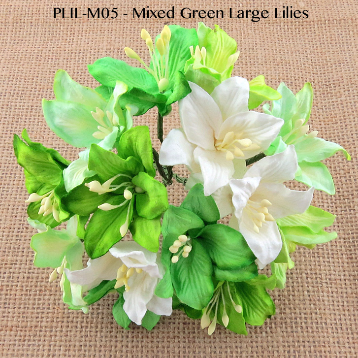 50 MIXED GREEN AND WHITE MULBERRY PAPER LILY FLOWERS - Click Image to Close