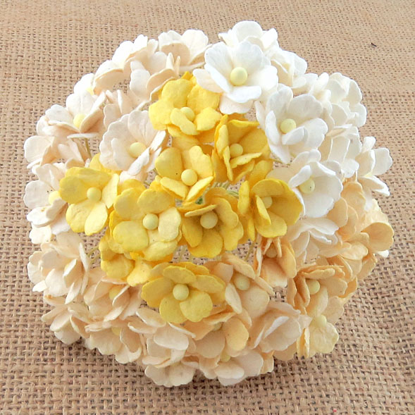 100 MIXED WHITE & CREAM SWEETHEART BLOSSOM - Click Image to Close