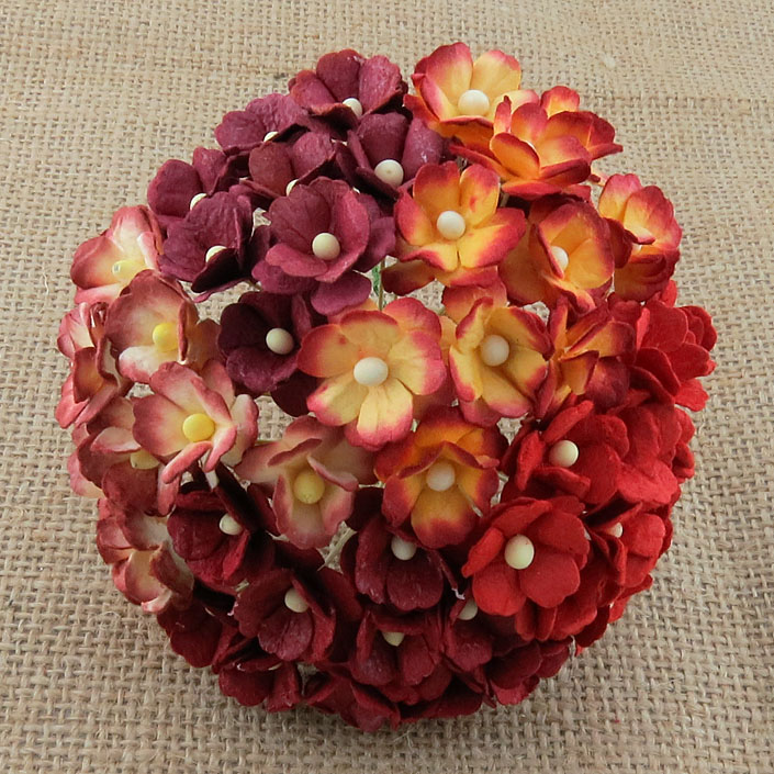 100 MIXED RED SWEETHEART BLOSSOM