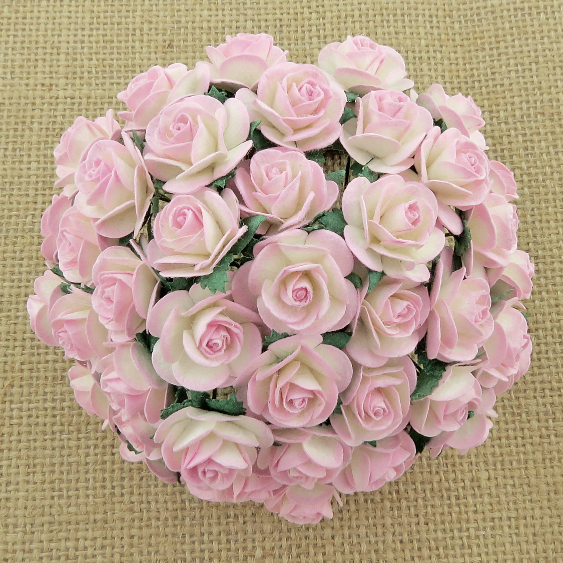 100 2-TONE BABY PINK/IVORY MULBERRY PAPER OPEN ROSES