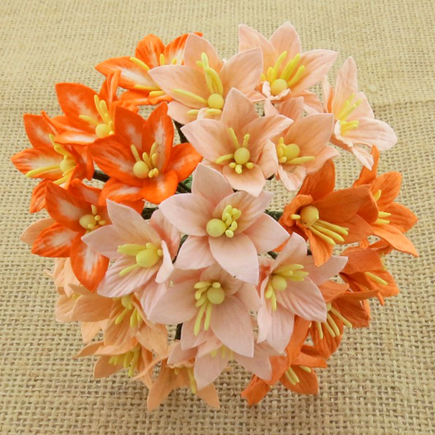 50 MIXED PEACH/ORANGE MULBERRY PAPER LILY FLOWERS - 5 COLOR
