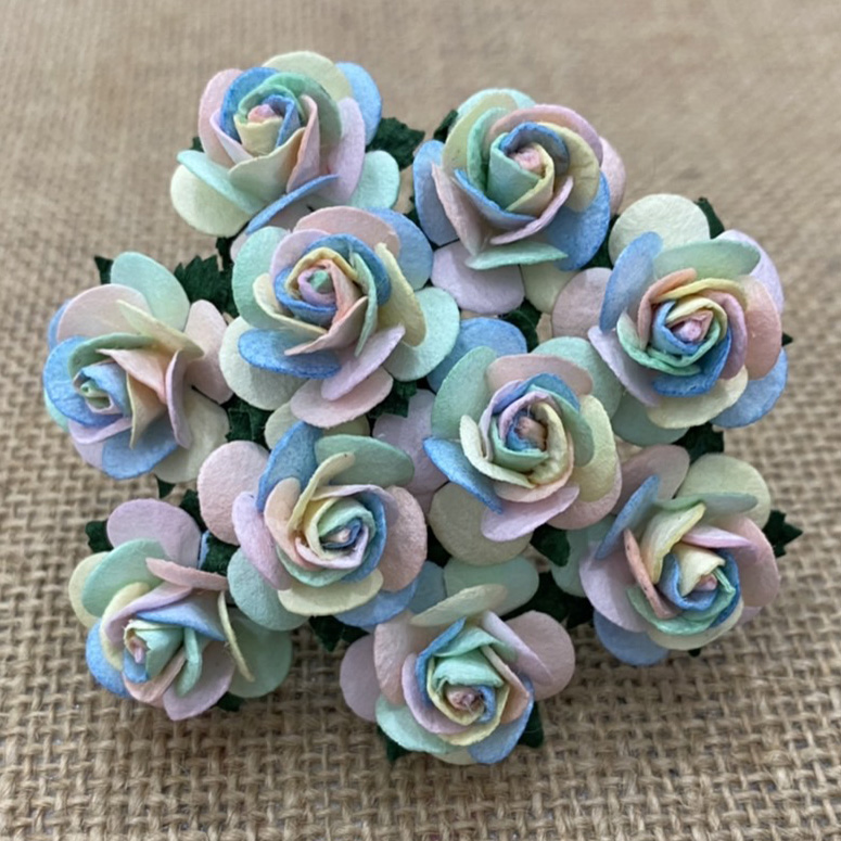 100 PASTEL RAINBOW COLOUR OPEN ROSES - Click Image to Close