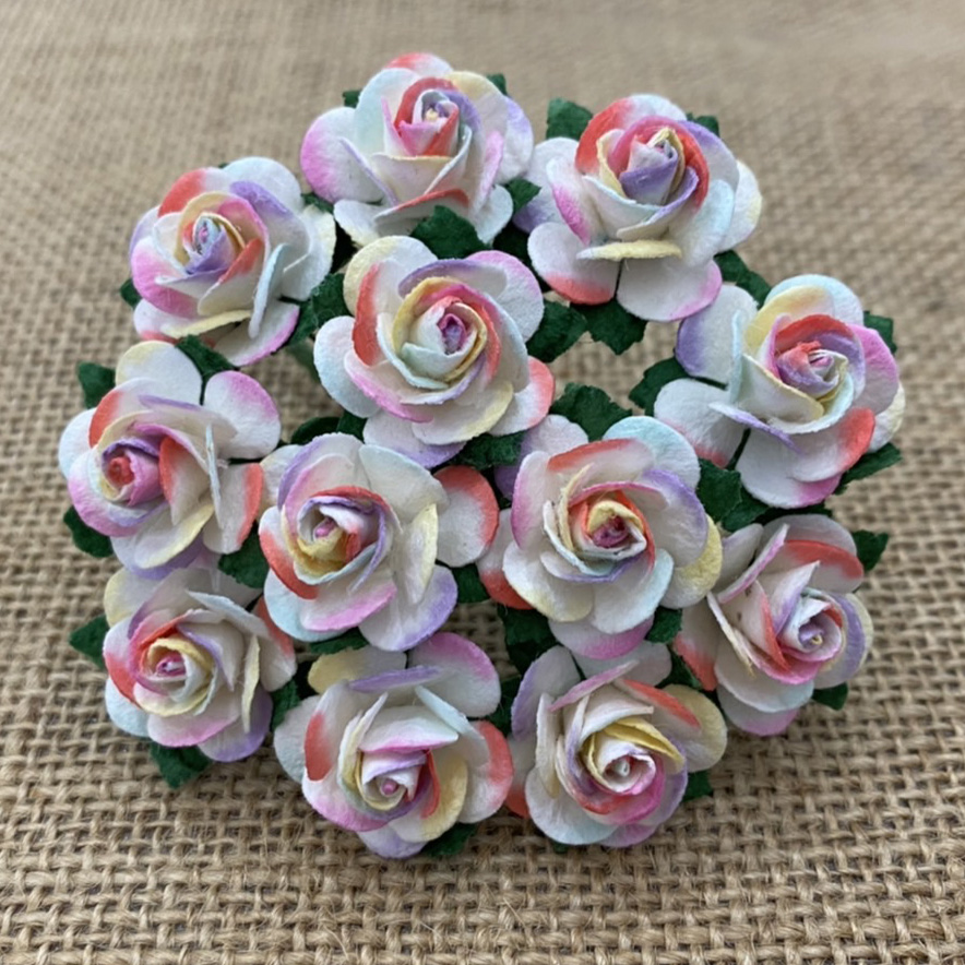 100 2-TONE PASTEL RAINBOW COLOR OPEN ROSES - Click Image to Close