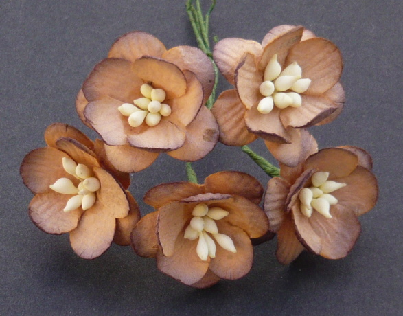 50 2-TONE CHOCOLATE BROWN CHERRY BLOSSOM MULBERRY PAPER FLOWERS - Click Image to Close