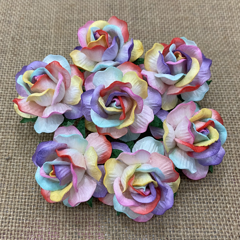 50 LARGE RAINBOW COLORED MULBERRY WILD ROSES 40mm - Click Image to Close