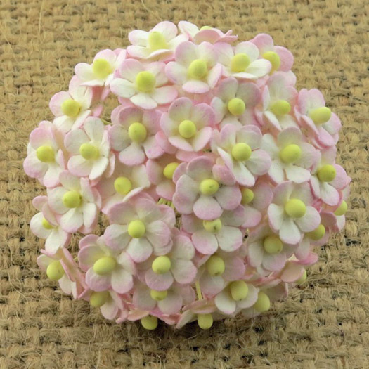 100 MINIATURE 2-TONE BABY PINK/IVORY SWEETHEART BLOSSOM FLOWERS - Click Image to Close