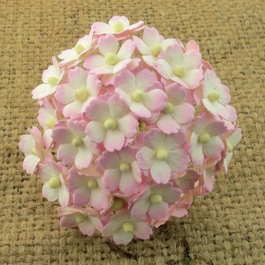 100 2-TONE BABY PINK/IVORY SWEETHEART BLOSSOM - Click Image to Close