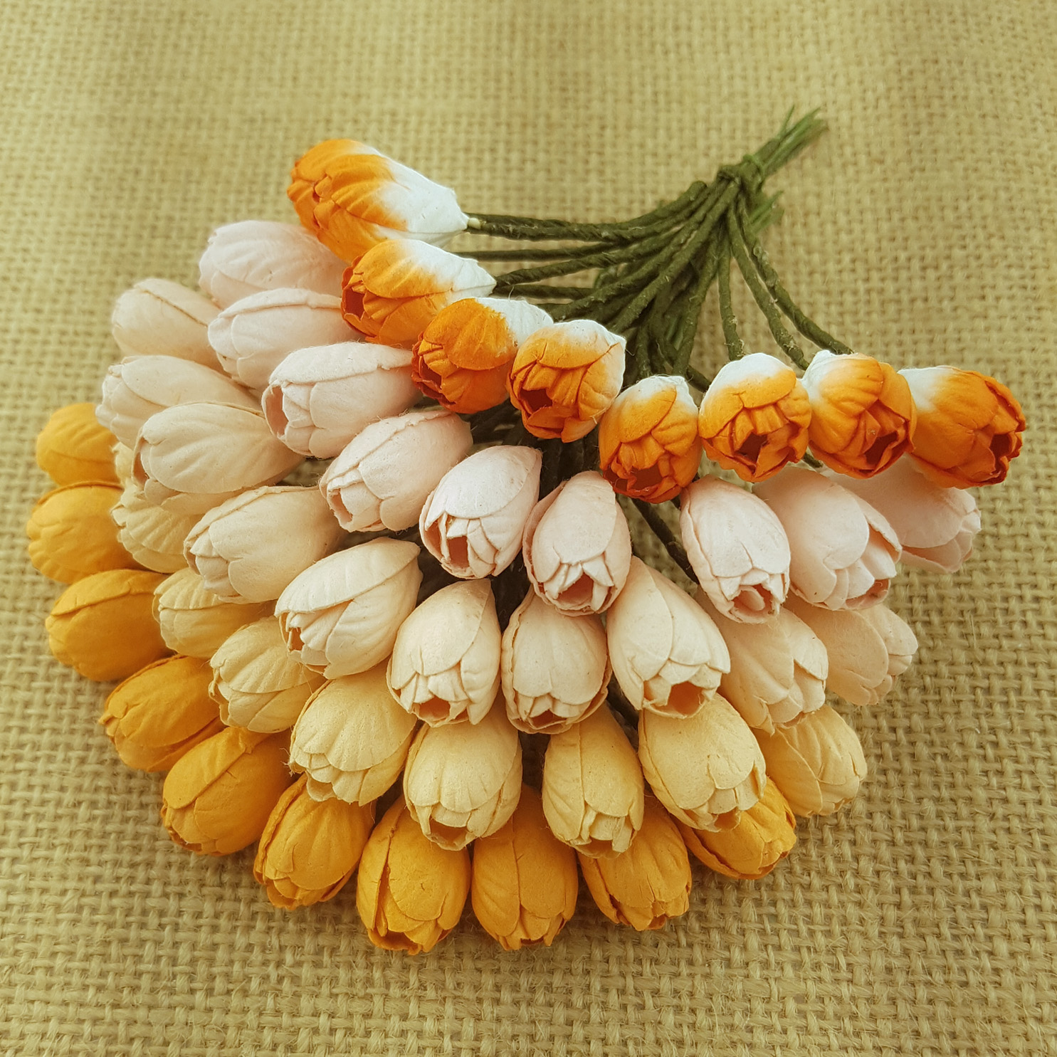 50 MIXED PEACH/ORANGE MULBERRY PAPER TULIP FLOWERS - 5 COLOR