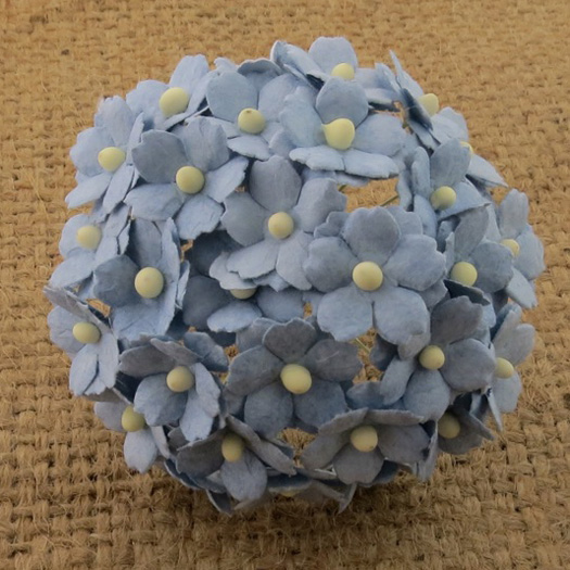 100 BABY BLUE SWEETHEART BLOSSOM