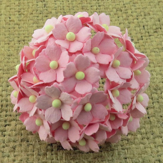 100 BABY PINK SWEETHEART BLOSSOM - Click Image to Close