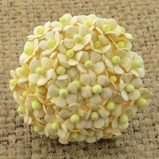 100 MINIATURE CREAM SWEETHEART BLOSSOM FLOWERS - Click Image to Close