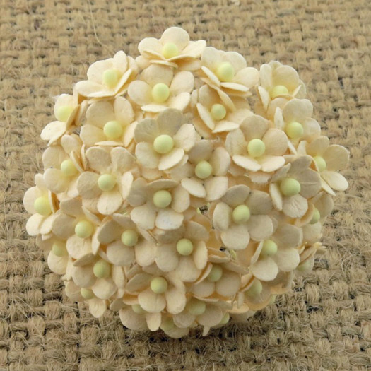 100 MINIATURE DEEP IVORY SWEETHEART BLOSSOM FLOWERS - Click Image to Close