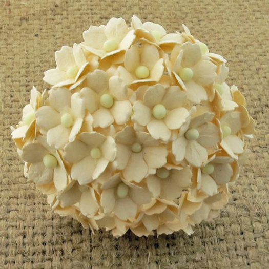 100 DEEP IVORY SWEETHEART BLOSSOM - Click Image to Close