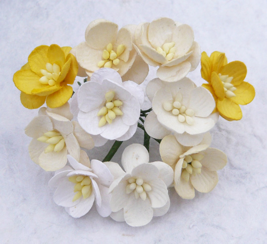 50 MIXED WHITE/CREAM CHERRY BLOSSOMS - Click Image to Close