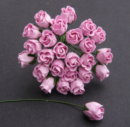 50 BABY PINK HIP ROSEBUDS