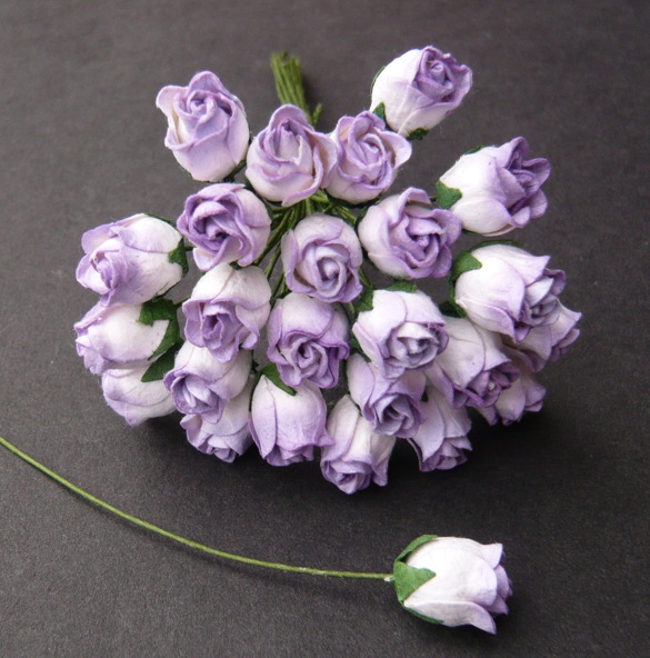 50 2-TONE LILAC HIP ROSEBUDS - Click Image to Close