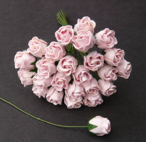 50 PALE PINK HIP ROSEBUDS - Click Image to Close