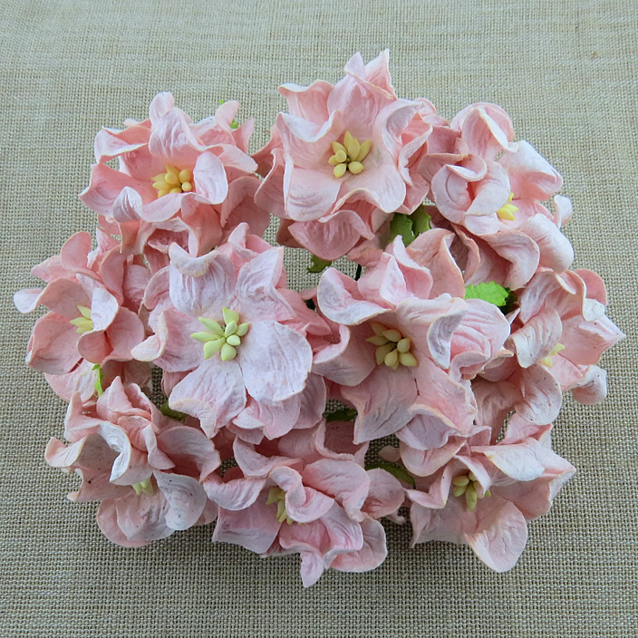 50 PALE PINK GARDENIA FLOWERS