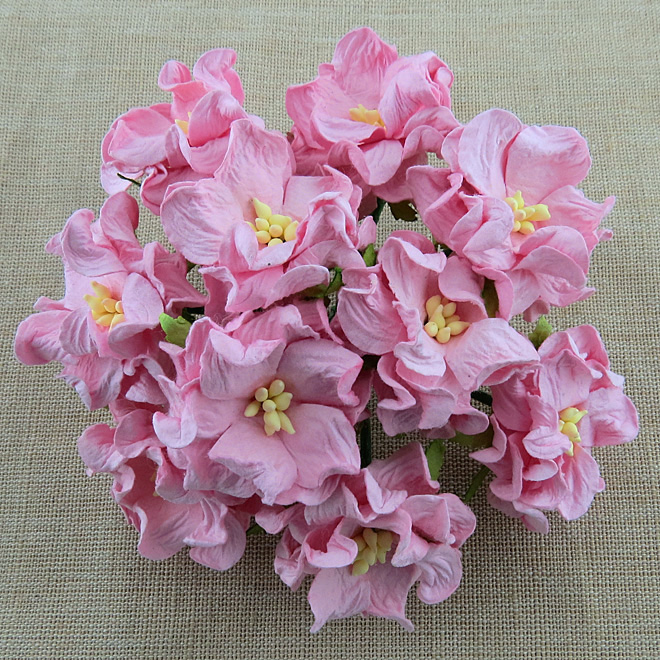 50 BABY PINK GARDENIA FLOWERS