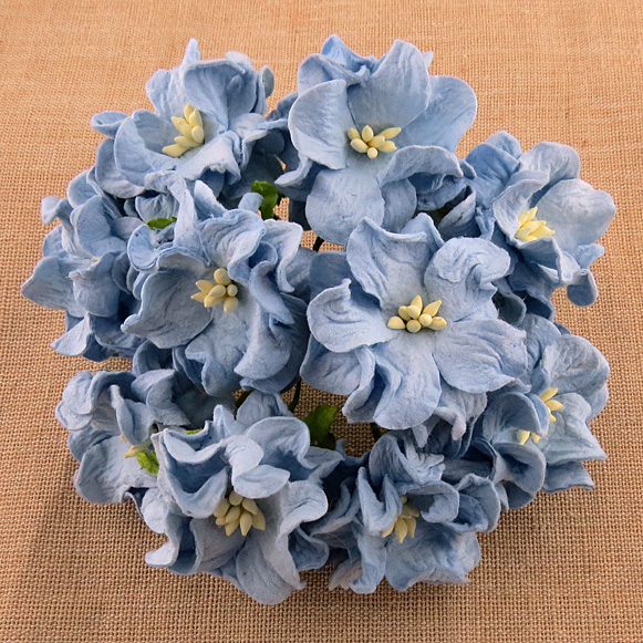 50 BABY BLUE GARDENIA FLOWERS - Click Image to Close