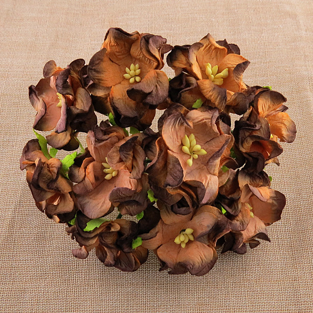 50 2-TONE CHOCOLATE BROWN GARDENIA FLOWERS - Click Image to Close