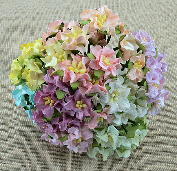 50 MIXED COLOUR GARDENIA FLOWERS - SET A - Click Image to Close