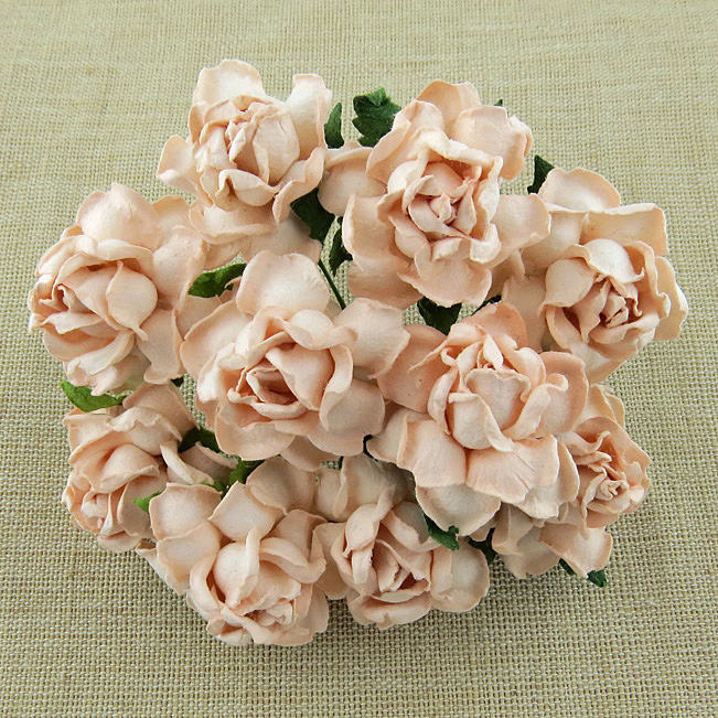 50 PALE PEACH MULBERRY PAPER COTTAGE ROSES - Click Image to Close