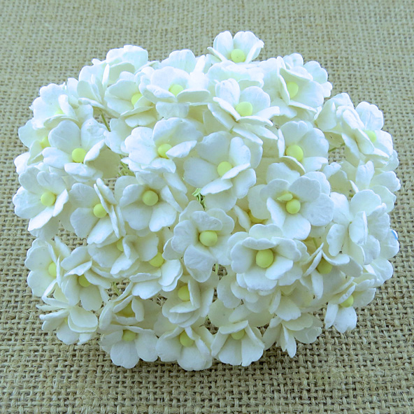 100 WHITE SWEETHEART BLOSSOM - Click Image to Close