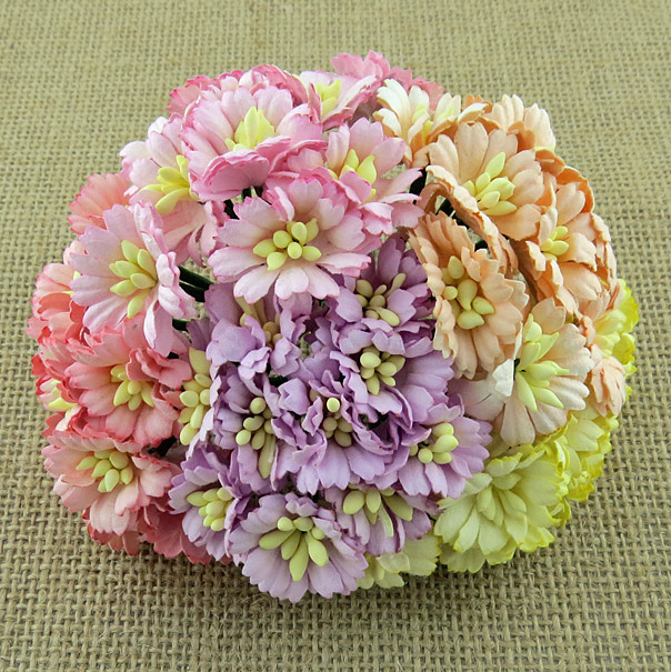 50 MIXED PASTEL TONE COSMOS DAISY STEM FLOWERS - SET B - Click Image to Close