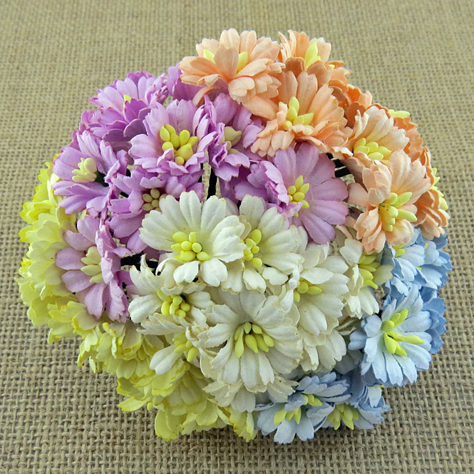 50 MIXED PASTEL TONE COSMOS DAISY STEM FLOWERS - SET A - Click Image to Close