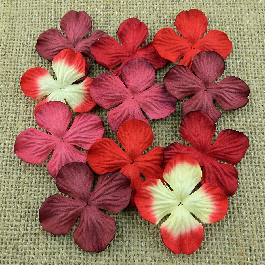 100 MIXED RED COLOUR HYDRANGRA BLOOMS - Click Image to Close