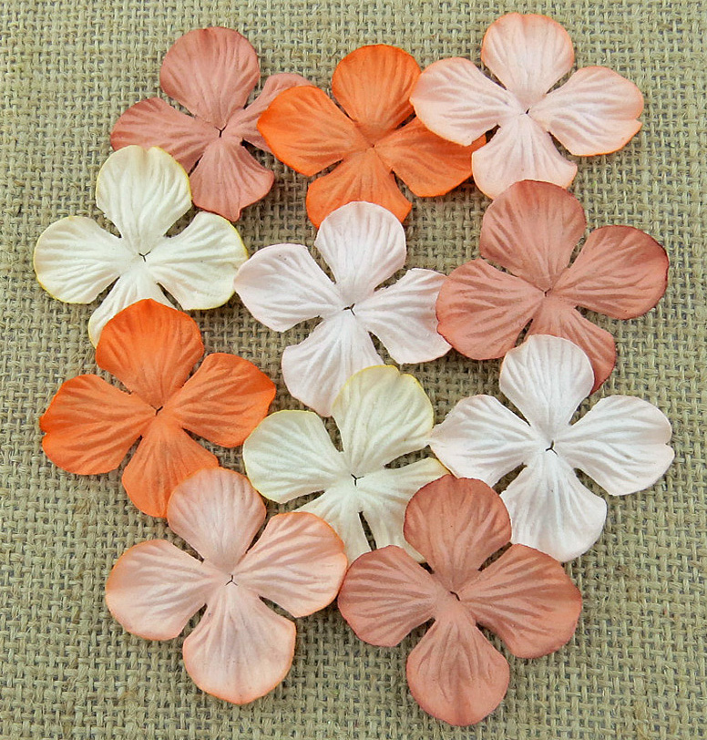 100 MIXED PEACH/ORANGE TONE HYDRANGRA BLOOMS - Click Image to Close