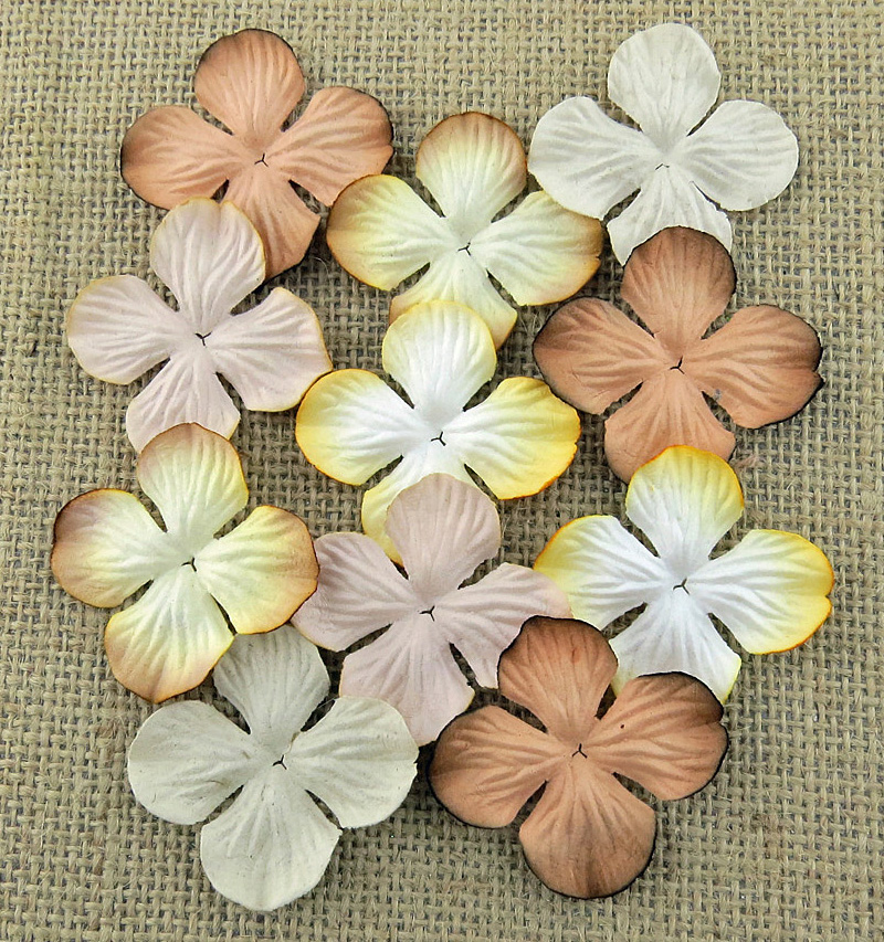 100 MIXED EARTH TONE HYDRANGRA BLOOMS - Click Image to Close