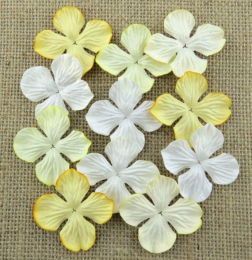 100 MIXED WHITE CREAM & IVORY HYDRANGRA BLOOMS - Click Image to Close