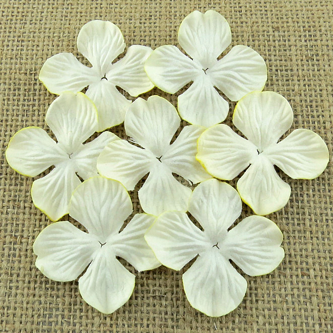 100 DEEP IVORY HYDRANGRA BLOOMS - Click Image to Close