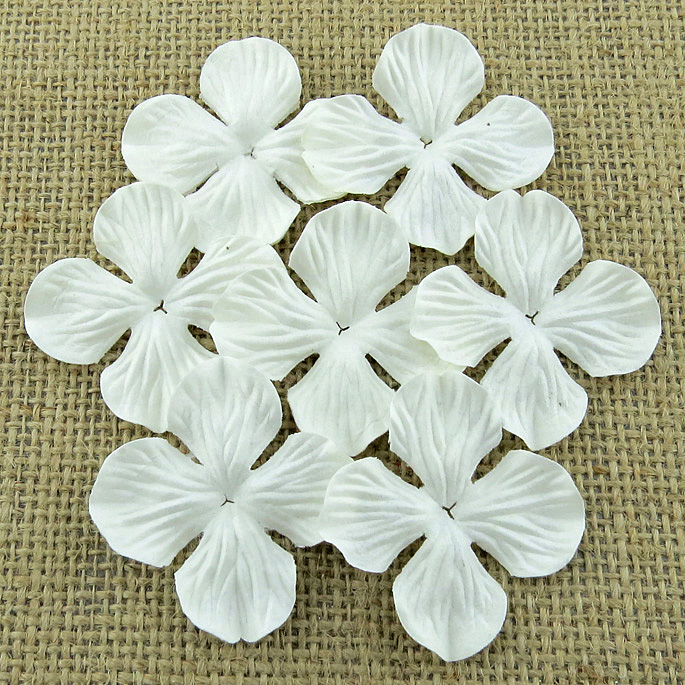 100 WHITE HYDRANGRA BLOOMS - Click Image to Close