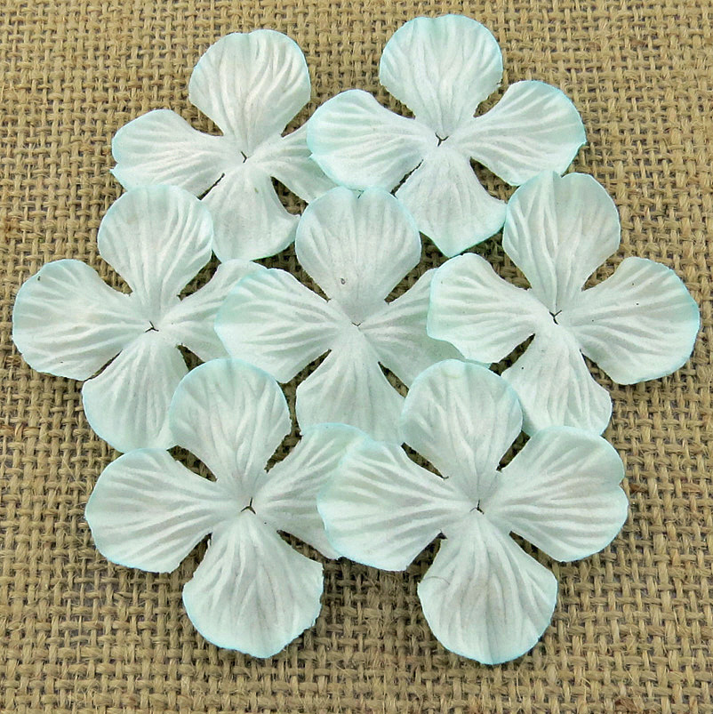 100 AQUA HYDRANGRA BLOOMS - Click Image to Close