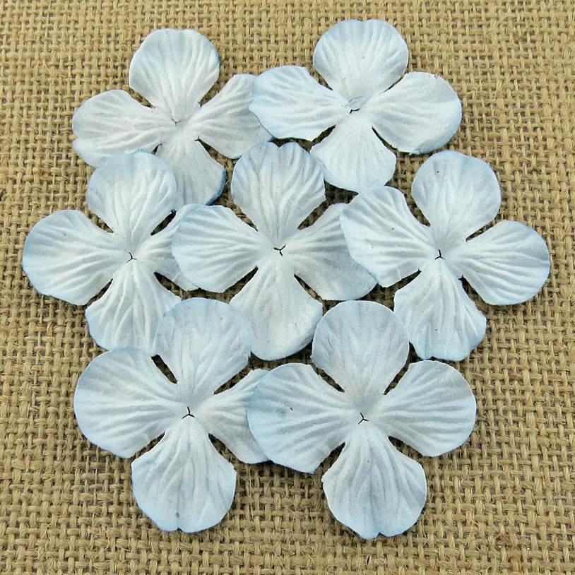 100 PALE BLUE HYDRANGRA BLOOMS - Click Image to Close