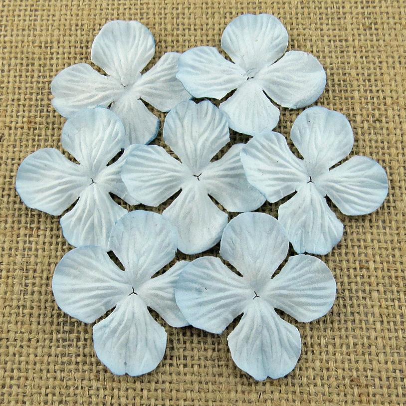 100 PALE BLUE HYDRANGRA BLOOMS