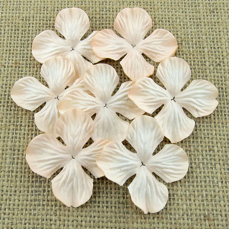 100 PALE PEACH HYDRANGRA BLOOMS - Click Image to Close