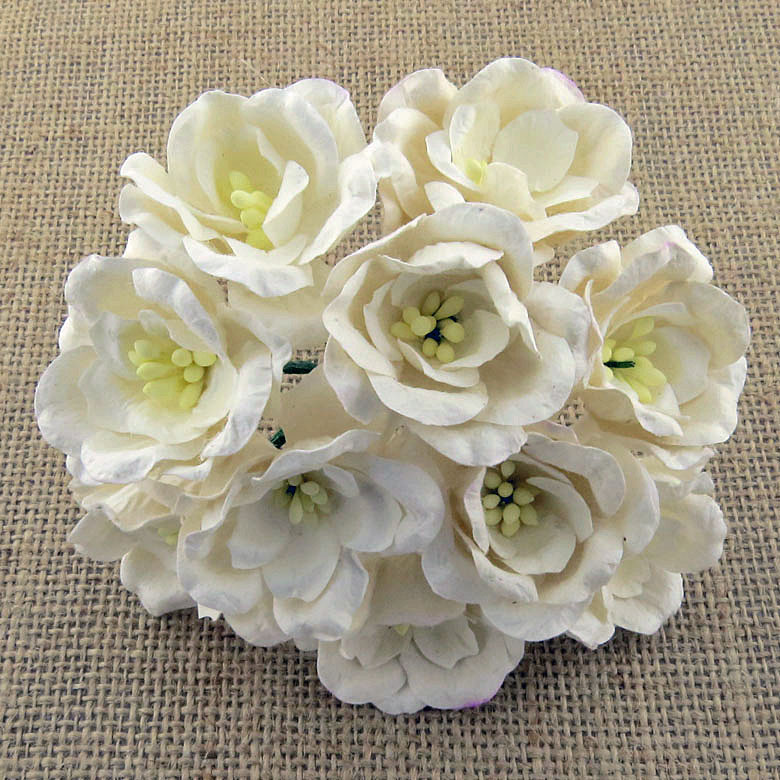 50 WHITE MULBERRY PAPER MAGNOLIAS - Click Image to Close