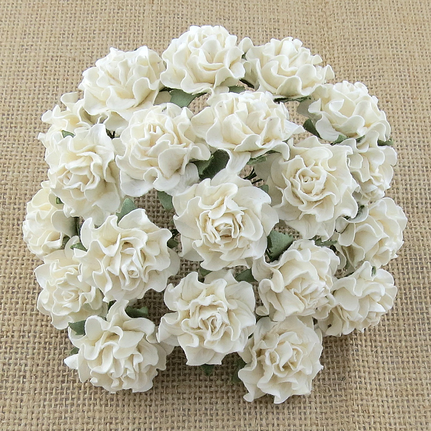 20 IVORY TUSCANY ROSES - 35mm - Click Image to Close