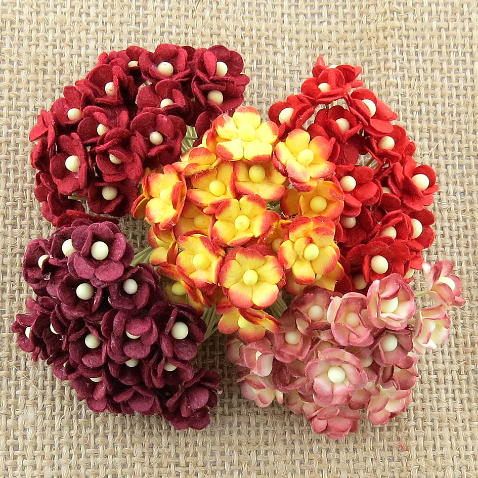 100 MINIATURE MIXED RED SWEETHEART BLOSSOM FLOWERS - Click Image to Close