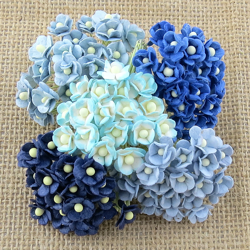 100 MINIATURE MIXED BLUE SWEETHEART BLOSSOM FLOWERS