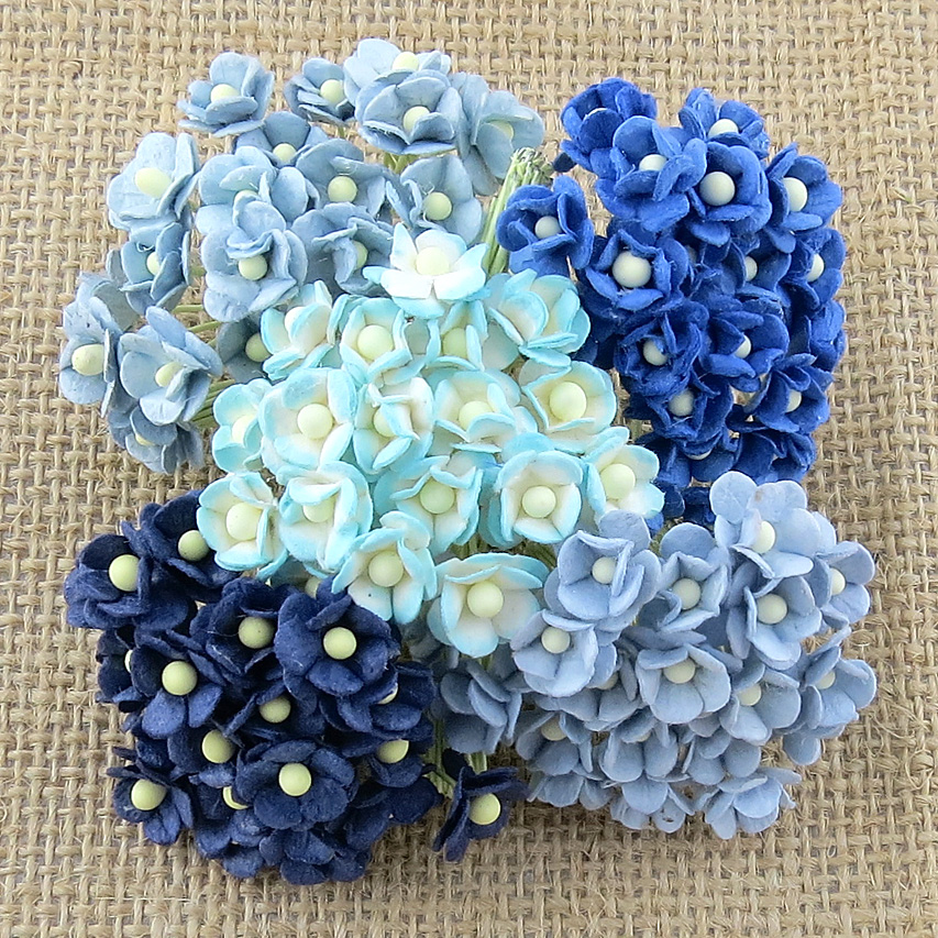 100 MINIATURE MIXED BLUE SWEETHEART BLOSSOM FLOWERS - Click Image to Close