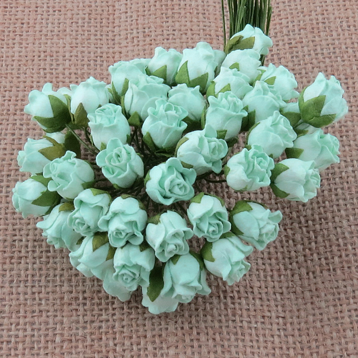 50 PASTEL GREEN HIP ROSEBUDS - Click Image to Close